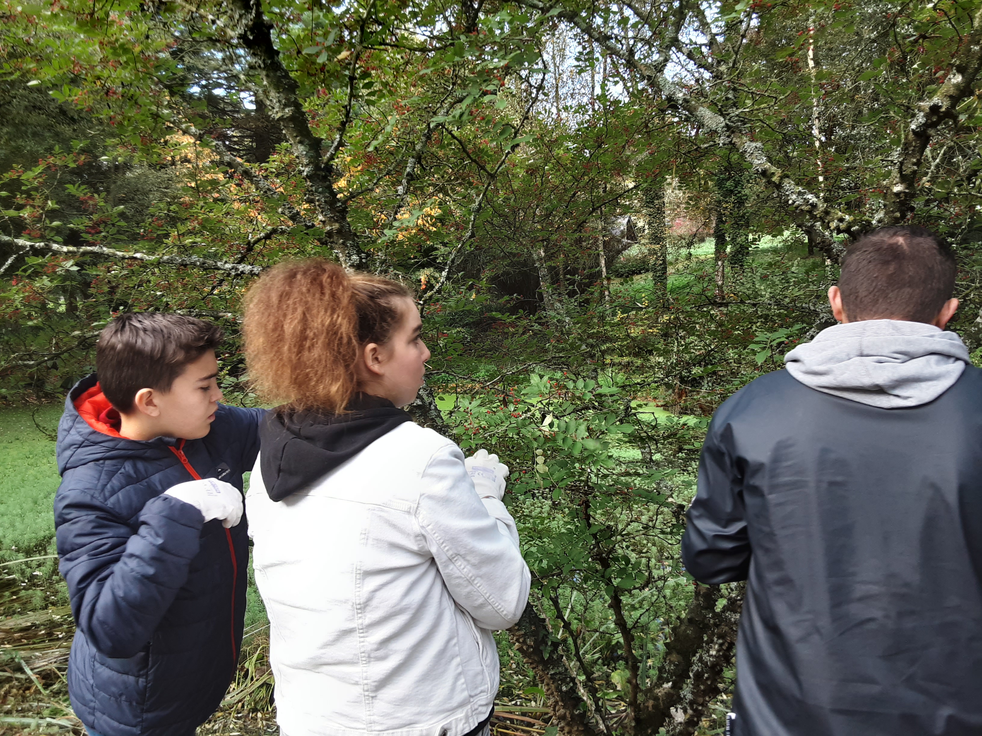 Photo 5